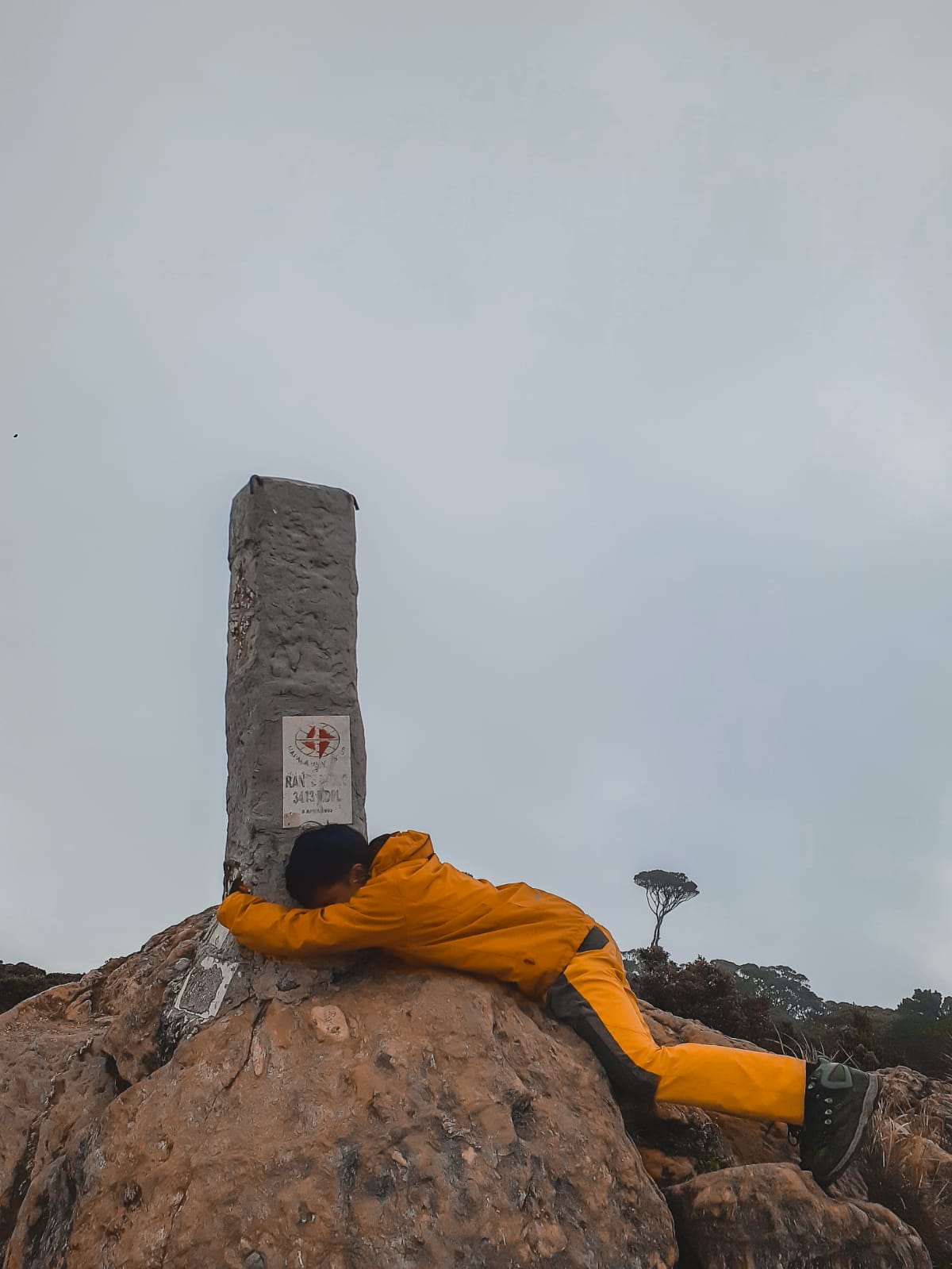 ...